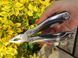 Mультитул Traveler Silver Gloss MT 6 в 1 MT609ID-8G с набором бит мультифункциональный инструмент в чехле 05202 фото 3