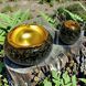Подарунковий набір 2в1 Ashtray Dragon D495 запальничка та попільничка 11395 фото 4