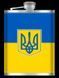 Фляга из нержавеющей стали Герб України WKL023 🇺🇦 266ml 9oz 06192 фото 5